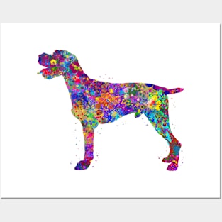 German Wirehaired Pointer watercolor Posters and Art